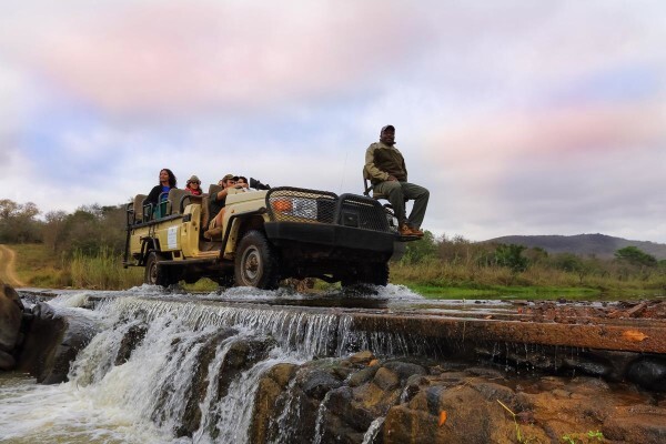 Amakhosi Safari Lodge