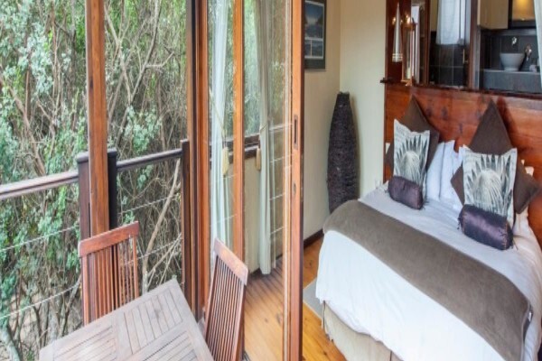 Elephant Hide Of Knysna Guest Lodge