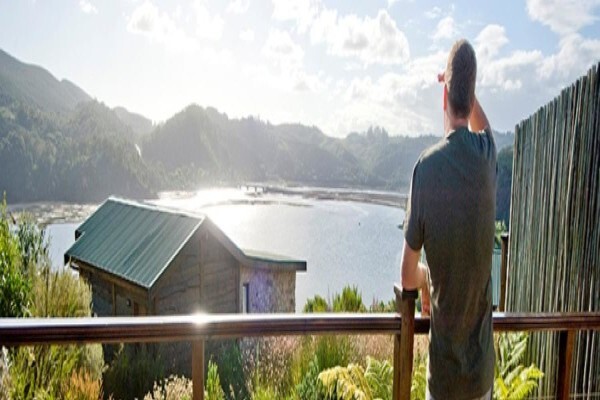 Elephant Hide Of Knysna Guest Lodge