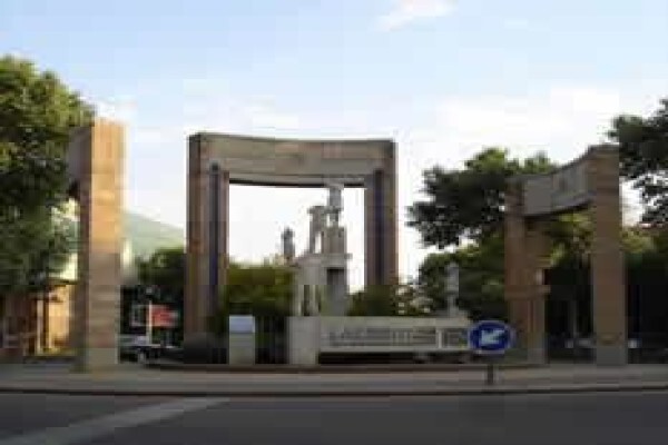 Gauteng Happenings