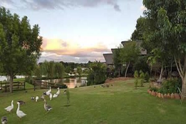 Klitzgras Chalets