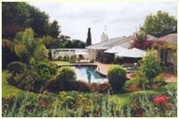 Southernwood