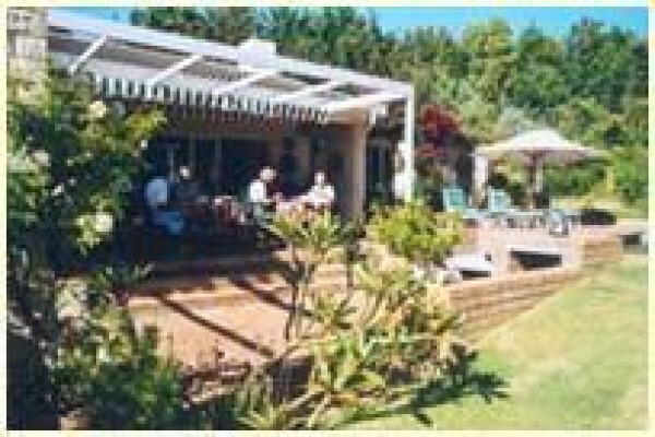 Southernwood