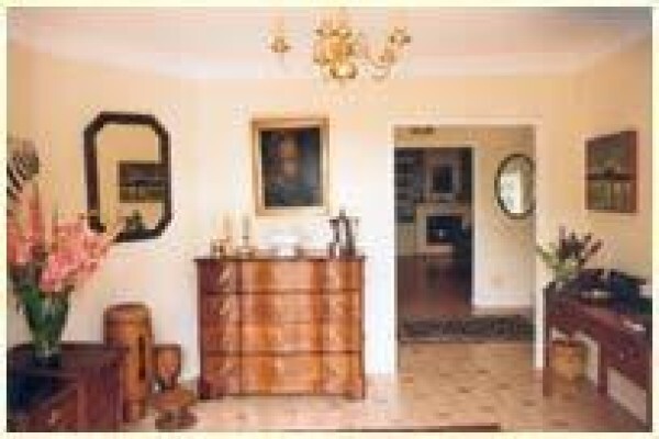 Southernwood