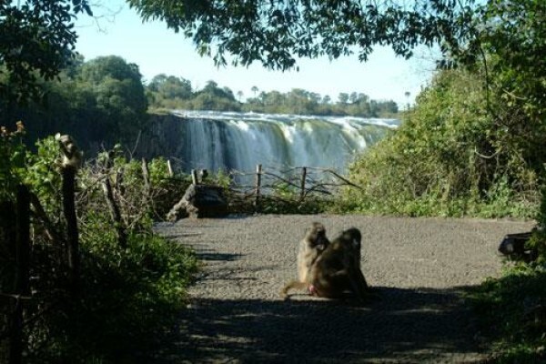 Victoria Falls Guide