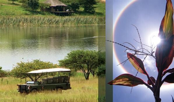 Tala Private Game Reserve