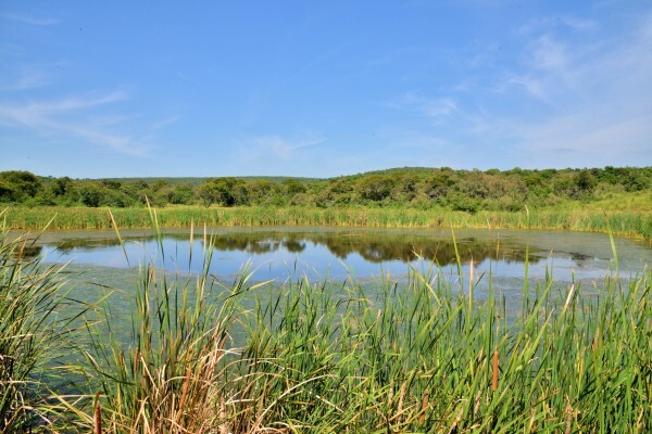 Tala Private Game Reserve