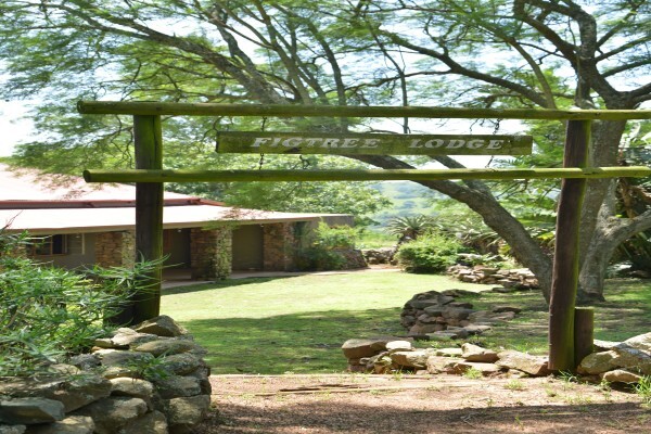 Tala Private Game Reserve
