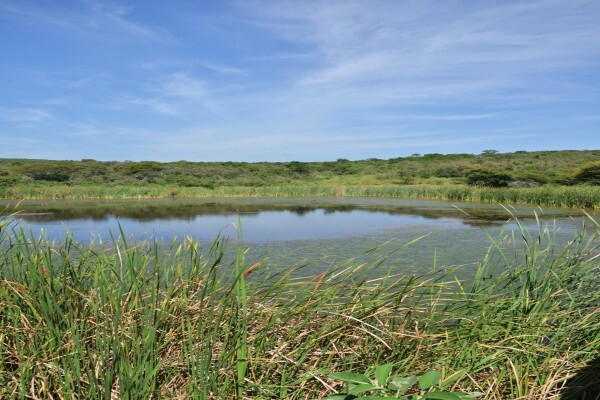 Tala Private Game Reserve