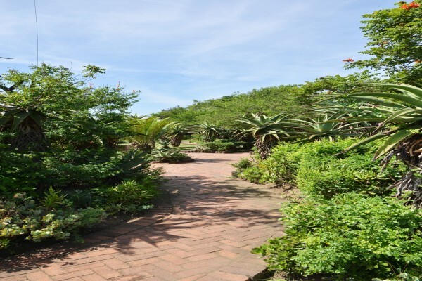 Tala Private Game Reserve