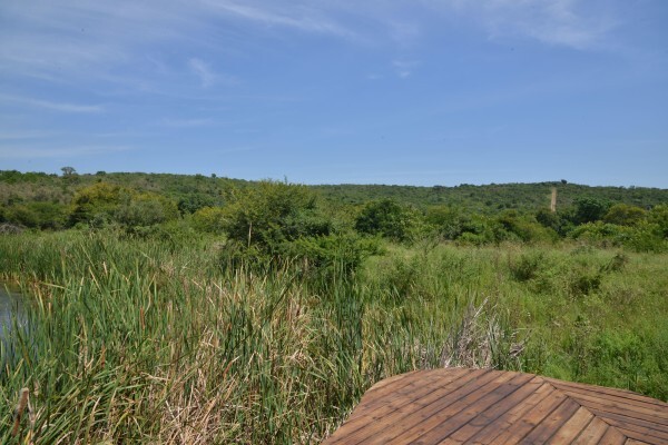 Tala Private Game Reserve