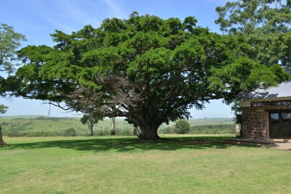 Tala Private Game Reserve