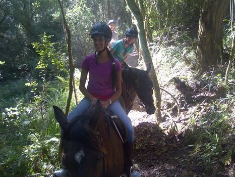 Hog Hollow Horse Trails