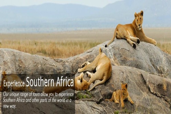 Africanlink