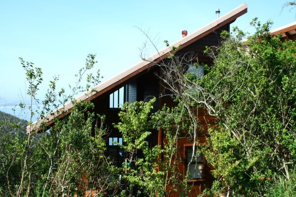 Timber Design