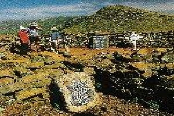 Amajuba Experience