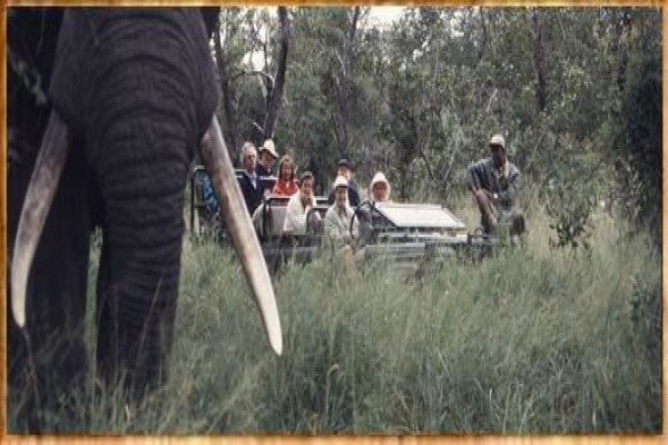 Rhythm Africa Tours