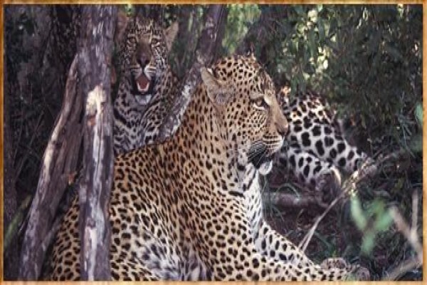 Rhythm Africa Tours