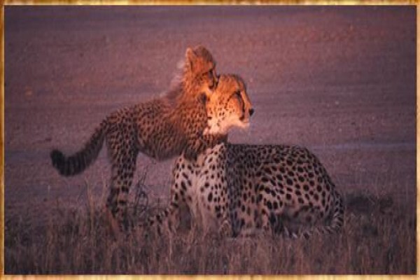 Rhythm Africa Tours