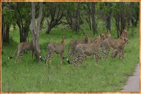 Rhythm Africa Tours