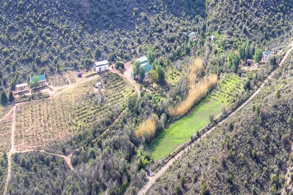 Rietfontein