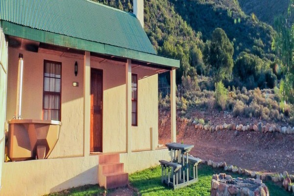 Rietfontein