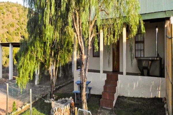 Rietfontein