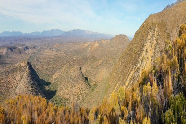 Rietfontein