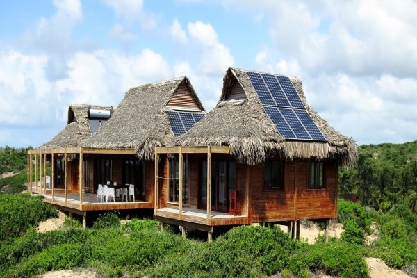 Timber Design
