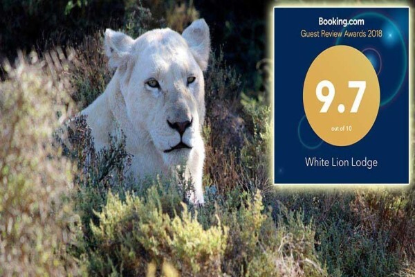 White Lion Lodge