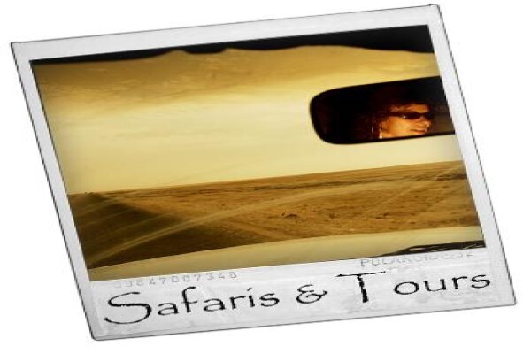 Aasafaris