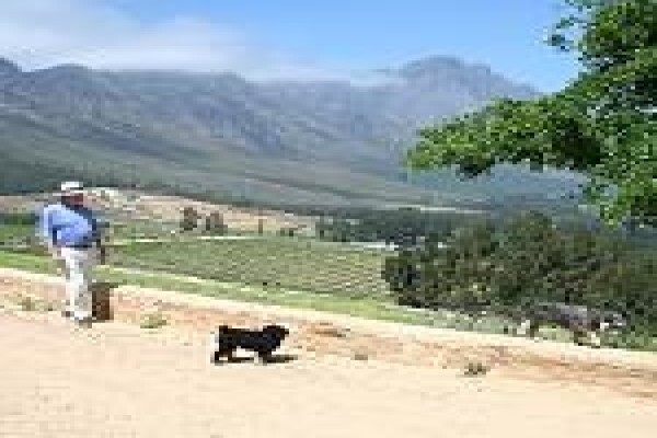 Franschhoek Pass Villa