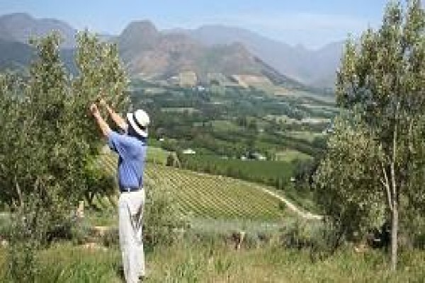 Franschhoek Pass Villa