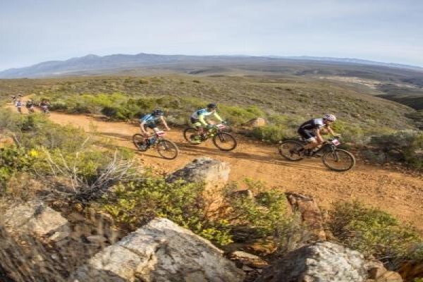 Knysna Hollow
