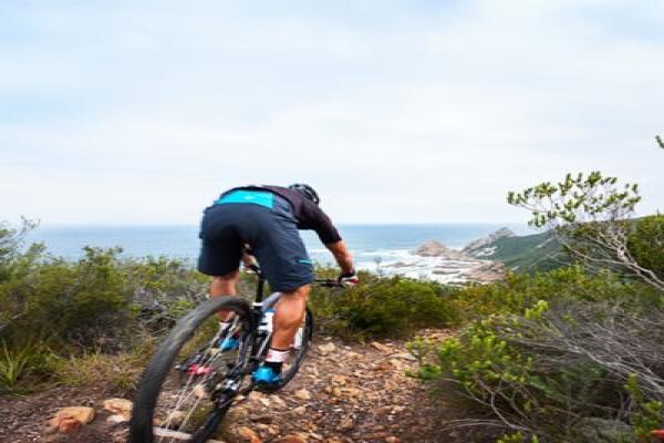 Knysna Hollow