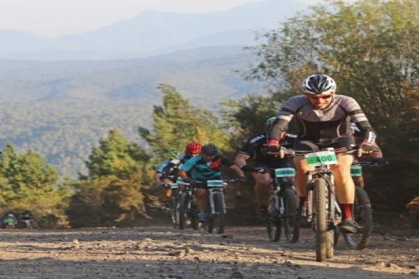 Knysna Hollow