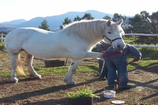 Outeniqua Moon