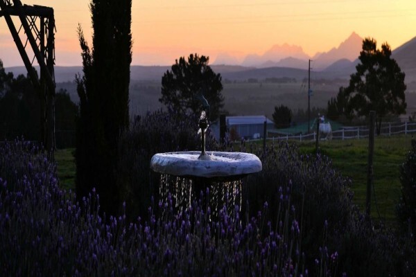 Outeniqua Moon