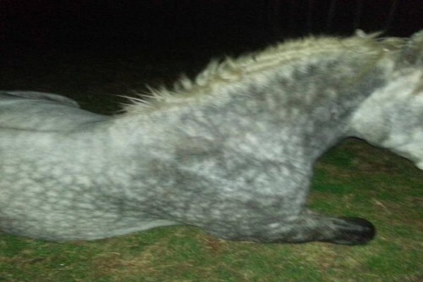 Outeniqua Moon
