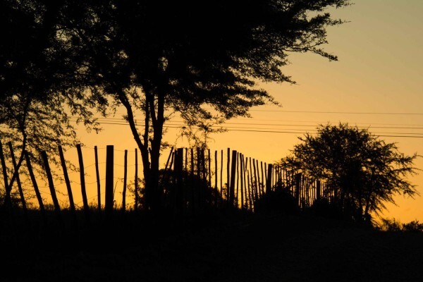 Thabile Lodge