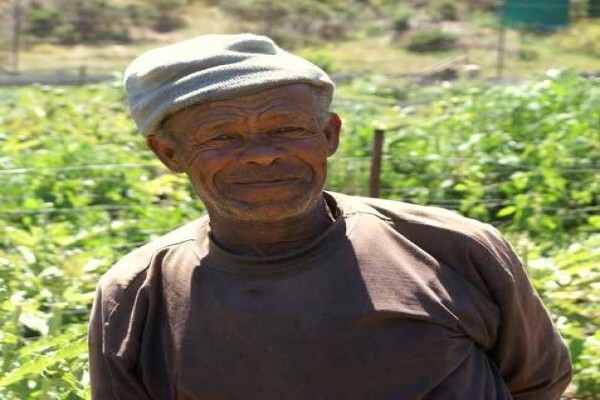 Tierhoek Organic