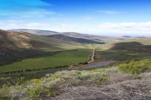 Tierhoek Organic