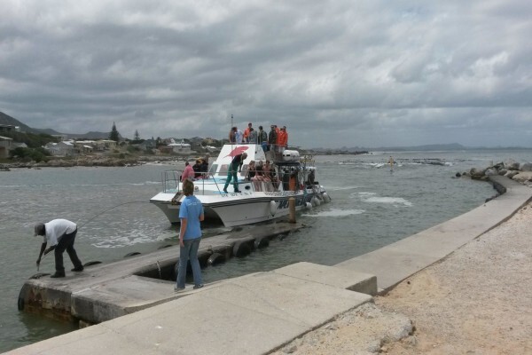 Seascape Tours
