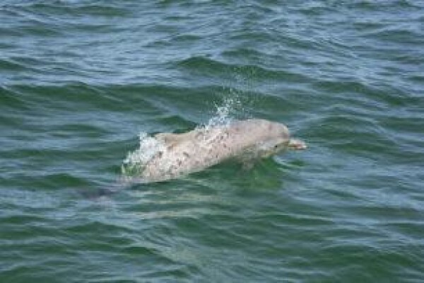 Knysna Spring Tide Charters