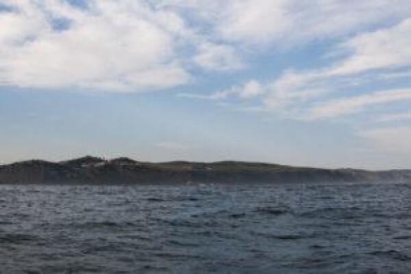 Knysna Spring Tide Charters