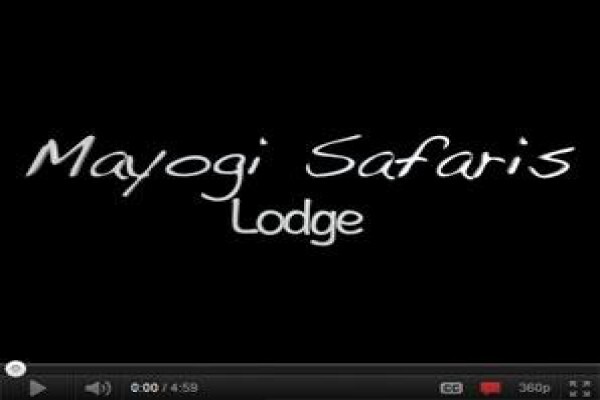 Mayogi Safaris