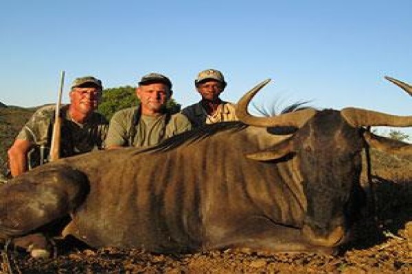 Mayogi Safaris