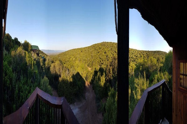 Mayogi Safaris