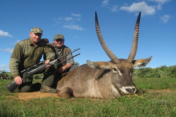 Mayogi Safaris