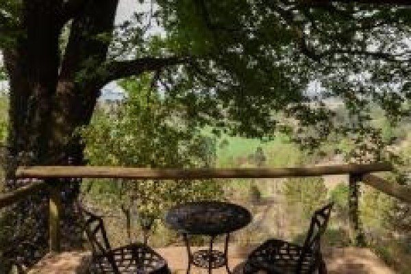 Pleasant Places